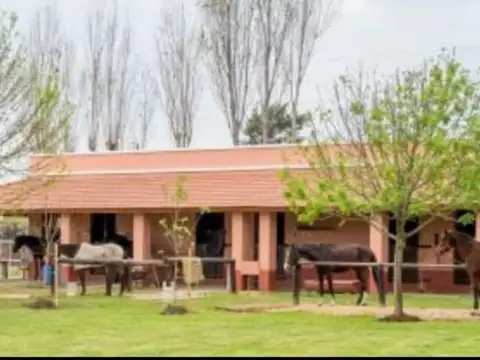 Terreno en Venta de 1600,0 m2