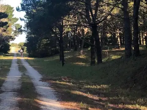 Ruta 11 Km 365