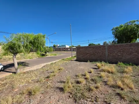 Cabildo de Mendoza 100