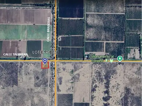 VENTA DE TERRENO 9998 M2, SAN MARTIN