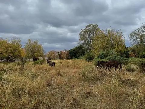 Terreno en Venta 50  mts Fondo