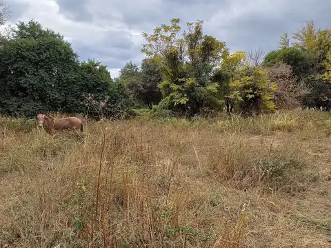 Aloja - VILLA DE SOTO-Vendo terrenos de 300 y 500m2 en Barrio residencial.