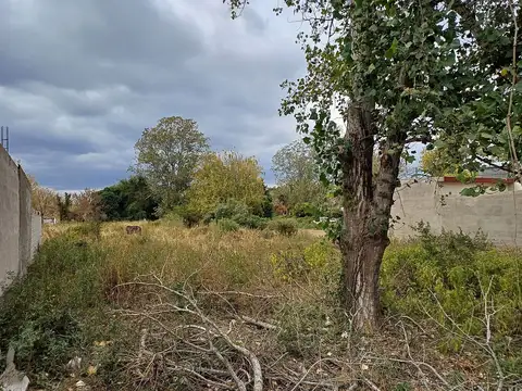 Terreno en Venta 10  mts Frente