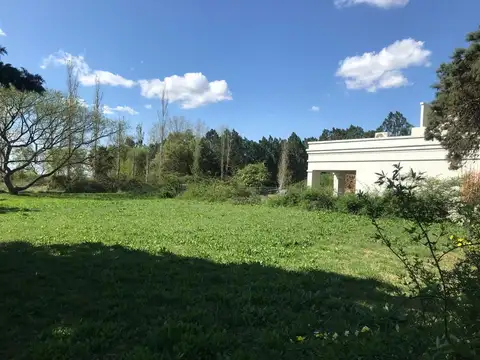 Terreno en Venta 19,98  mts Fondo