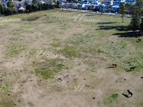 Manuel Luis De Oliden III 9300