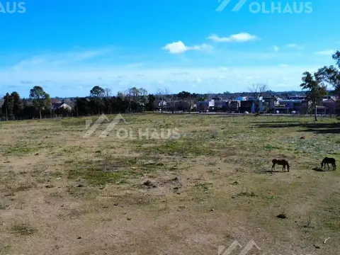 Manuel Luis De Oliden III 9300