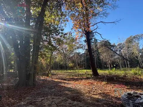 Terreno en Venta de 1940,0 m2