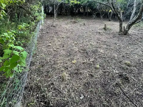 Terreno en Venta de 300,0 m2