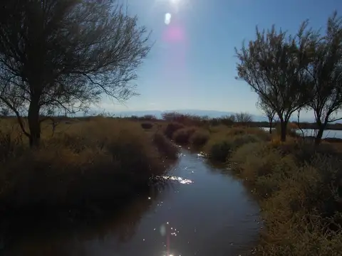 CAMPO AGRÍCOLA GANADERO EN VENTA MENDOZA