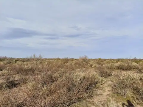 CAMPO AGRÍCOLA GANADERO EN VENTA MENDOZA