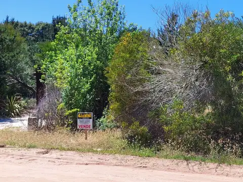 Terreno en Venta en Pueblo San Jose, USD 29.000