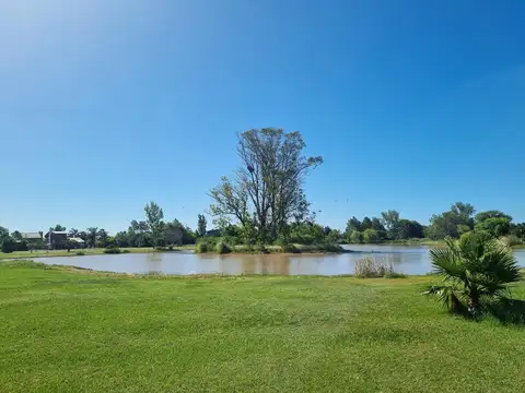 Terreno en Venta 40  mts Frente