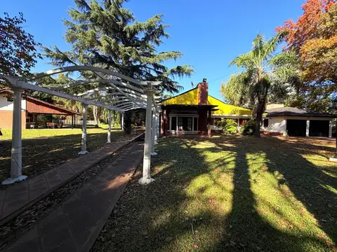 Las Casuarinas 600