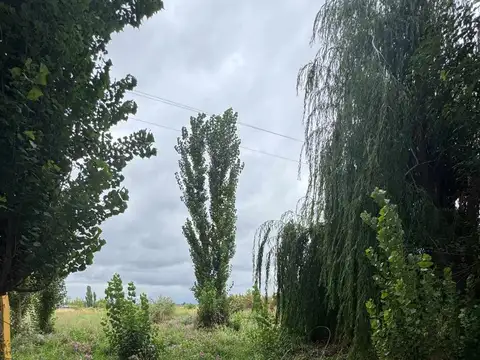 Terreno en Venta en Lujan de Cuyo, Luján de Cuyo