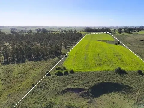 CHACRA EN VENTA - 10,8 HECTÁREAS - VILLA ROSARIO