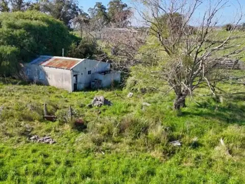 CHACRA EN VENTA - 10,8 HECTÁREAS - VILLA ROSARIO