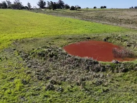 CHACRA EN VENTA - 10,8 HECTÁREAS - VILLA ROSARIO