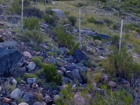 Terreno en Venta de 2000,0 m2