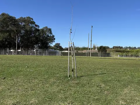 ARENAS CHICO  LOTE 71 VENTA  EN CUOTAS