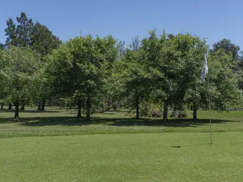 Au Córdoba - Rosario km 313