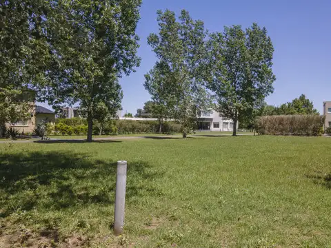 Terreno en Venta 41  mts Fondo