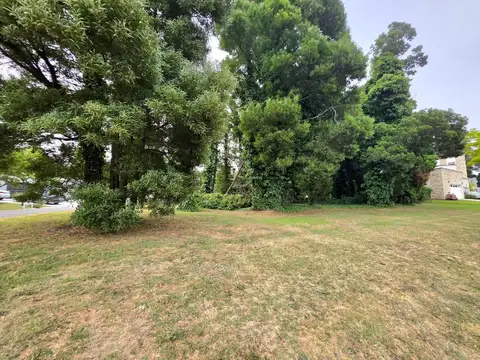 Venta Lote Barrio Las Prunas