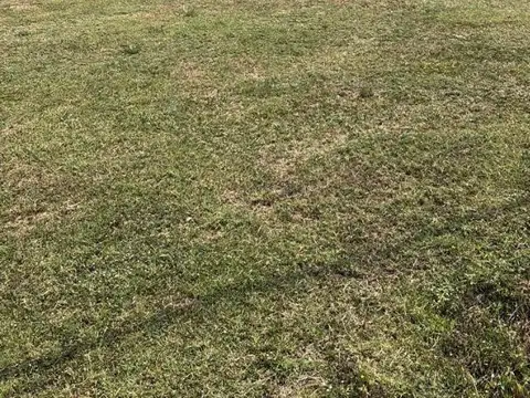 Quinta en Venta de 4 dormitorios