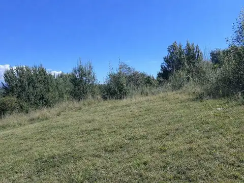 Terreno en Venta de 1600,0 m2