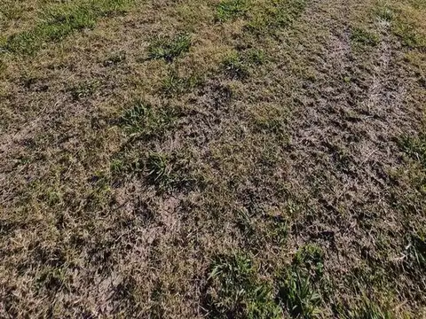 Terreno en Venta en Barrio El Campo - Fincas Exclusivas Cardales, USD 34.000