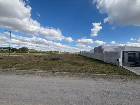 Via Aurelia. Zona Aeropuerto. Mza 32. Lote 100
