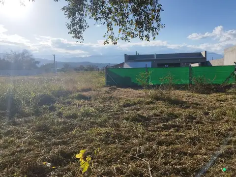 San Lorenzo Chico. Tierra Mía 100