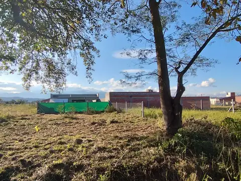 San Lorenzo Chico. Tierra Mía 100