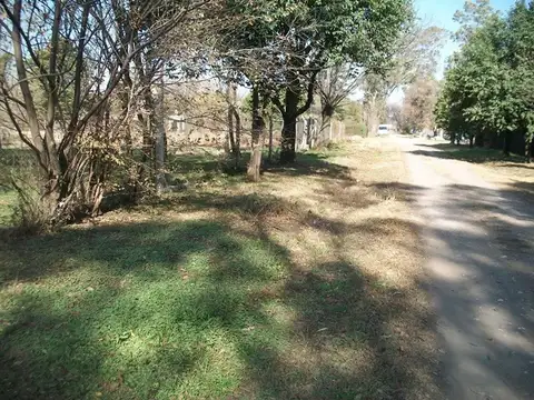 Bioy Casáres 100