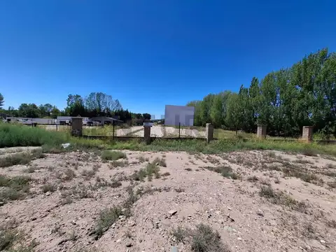 TERRENO EN ALQUILER