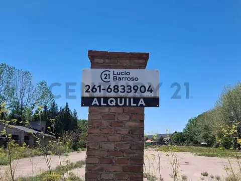 TERRENO EN ALQUILER