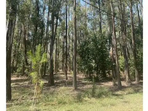 Terreno en Venta en San Lorenzo, USD 35.000