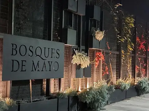 25 de mayo 100