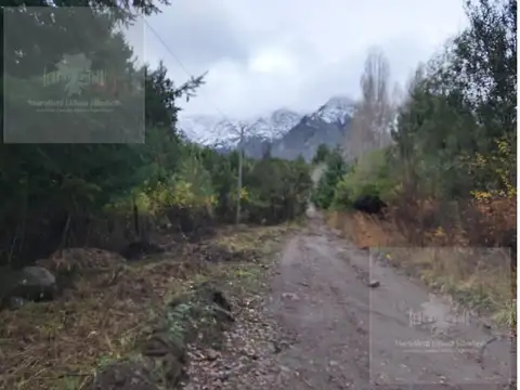 Terreno en Venta de 10000,0 m2