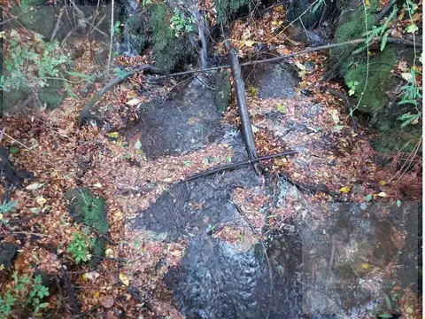Terreno - Paraje Las Golondrinas, Chubuth