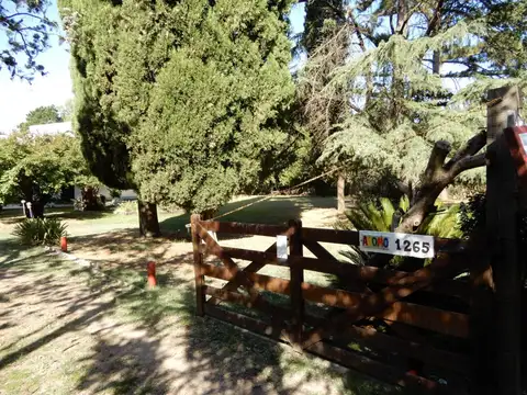 El Aromo 1200