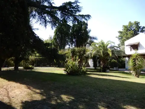 El Aromo 1200