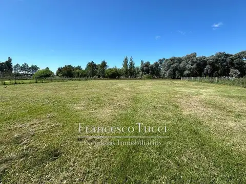 Terreno en Venta de 2000,0 m2