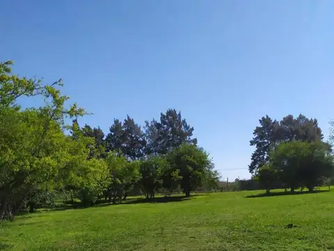 Chacras de la Reserva  al 100