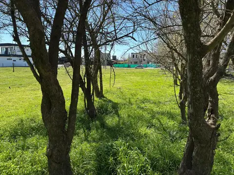 Terreno en Venta de 2025,0 m2