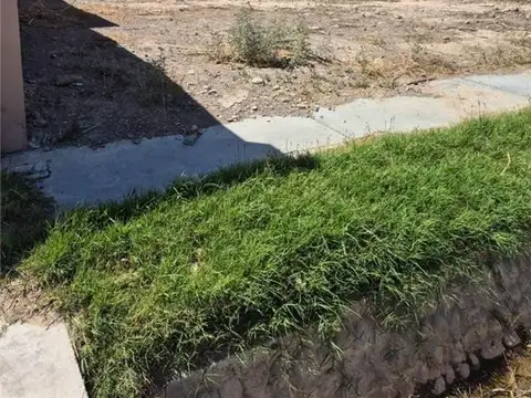 BOULEVAR LAS ACACIAS 100