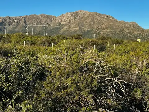 Terreno en Venta de 3525,0 m2