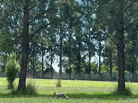 Terreno en Venta de 1063,0 m2