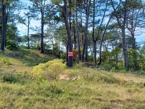Punta del Este Terreno en Rincon del Indio