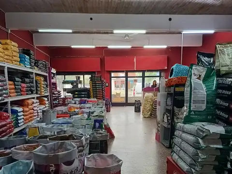 Avenida Ovidio Lagos 5300