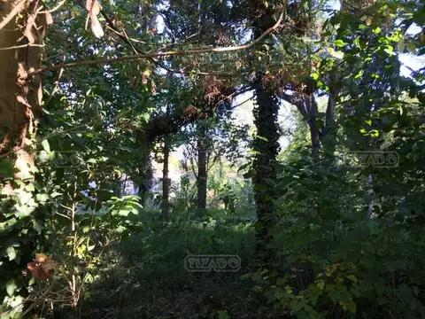 Mocoví 300